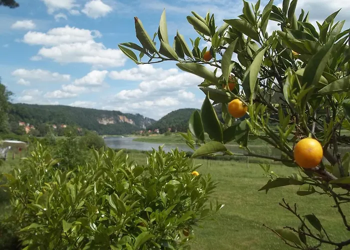 Herrenhaus Orangella * שטאדט ווילן